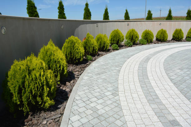 Best Professional Driveway Pavers  in Hutto, TX